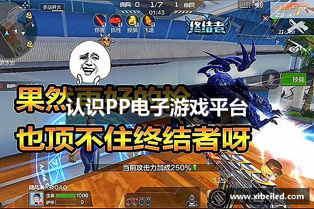 认识PP电子游戏平台
